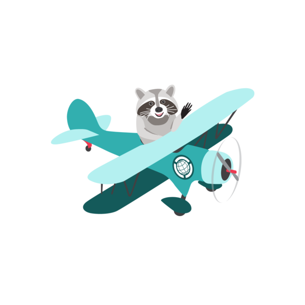 raccoon piloting an airplane